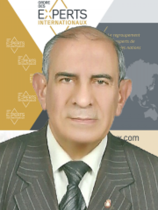 Mohamed Damak
